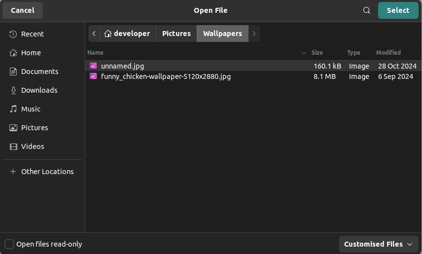 File Manager